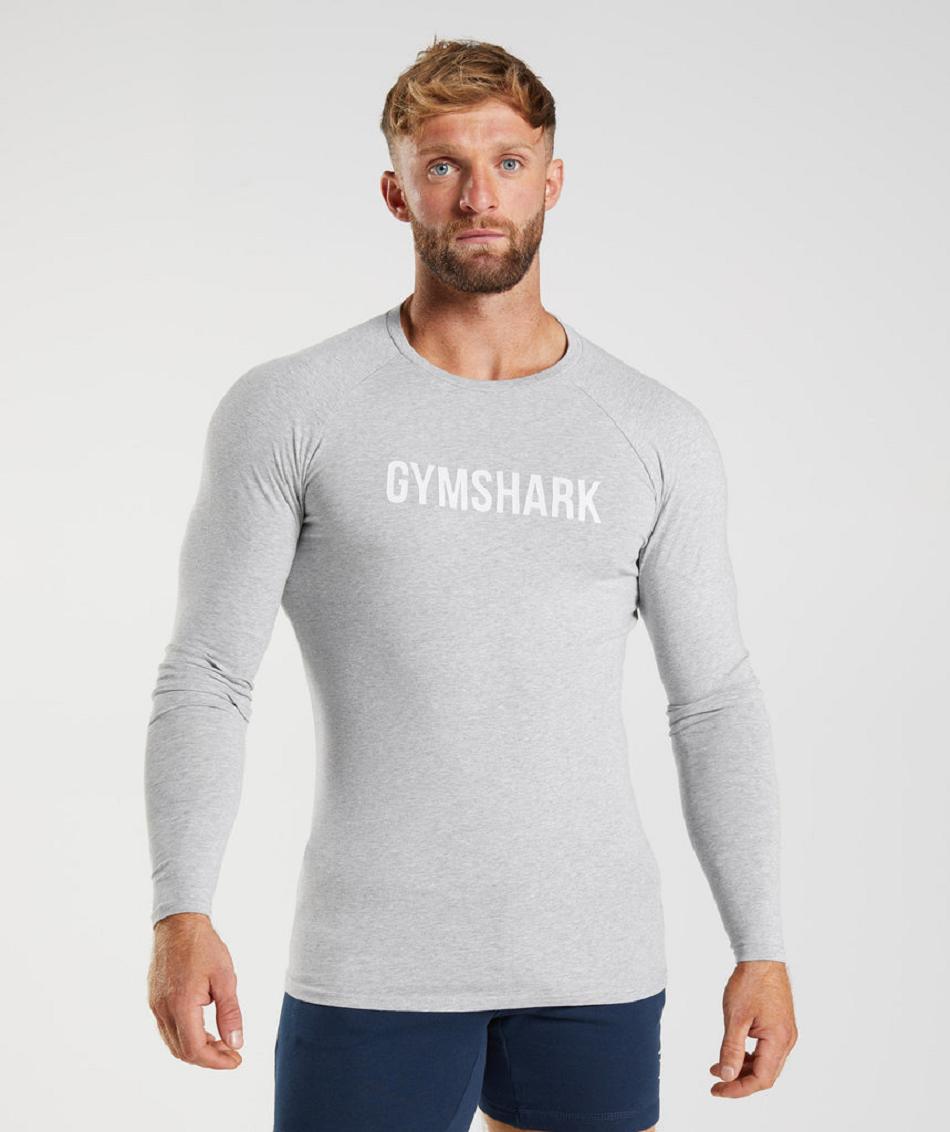 Long Sleeve Gymshark Apollo Hombre Gris Claro | CO 3527SGL